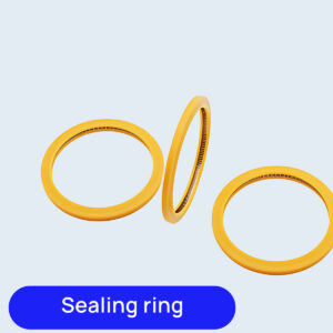 Sealing Ring