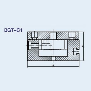 BGT-C1