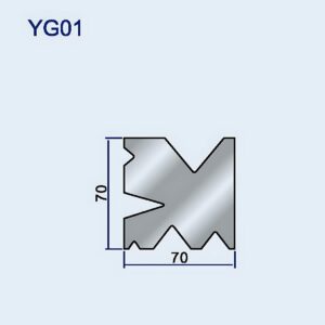 YG01